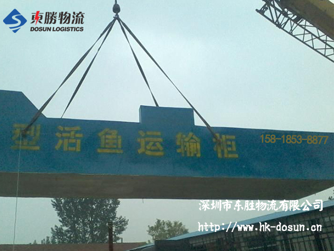 物流活體魚要注意哪些事項？該怎么運輸？深圳到香港物流,香港深圳貨運運輸,深圳香港進出口,深港物流專線,中港物流,東勝物流集團-大件物流到香港