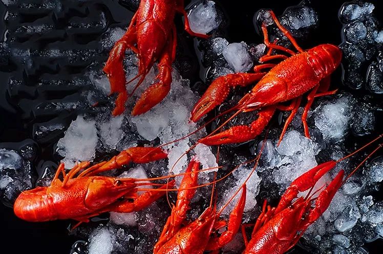 怎樣提高小龍蝦長途運輸中的成活率？深圳到香港物流,香港物流專線,深圳香港進出口,中港物流,香港深圳貨運運輸-深圳市東勝物流有限公司